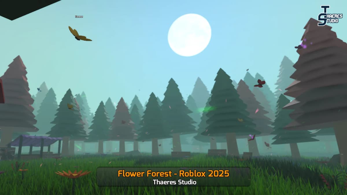 Flower Forest — What I Learned